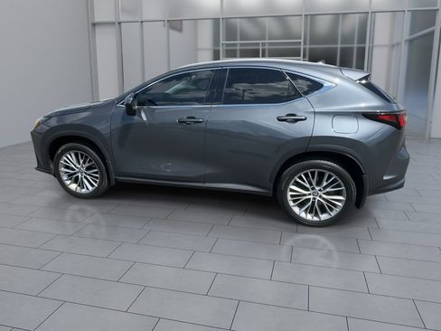 Used 2024 Lexus NX 350h AWD w/ Vision Package image 5