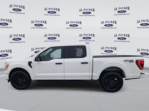 Used 2022 Ford F150 XL w/ STX Black Appearance Package image 3