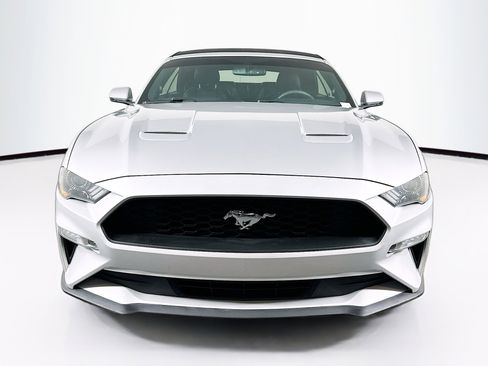 Used 2018 Ford Mustang Premium w/ Equipment Group 201A RWD image 2