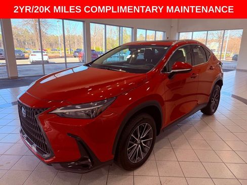 Certified 2022 Lexus NX 350 AWD image 3