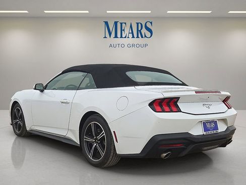 Used 2024 Ford Mustang Premium image 3