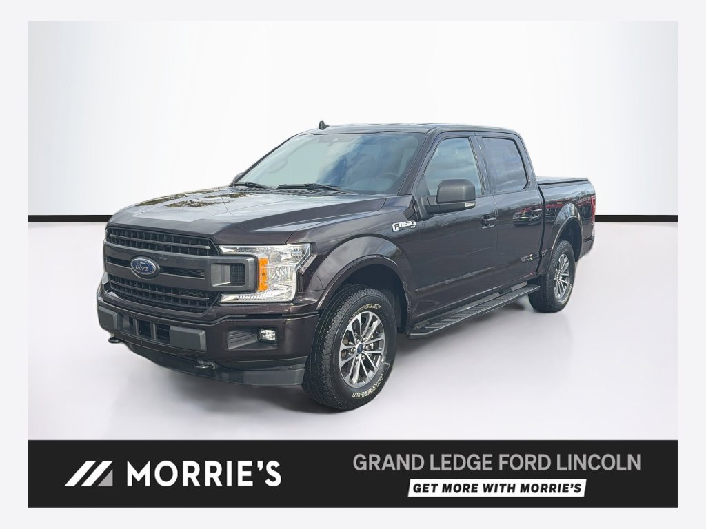 Used 2019 Ford F150 XLT w/ Equipment Group 302A Luxury AWD/4WD image 1