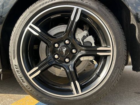 Used 2019 Ford Mustang GT Premium w/ Equipment Group 401A image 37