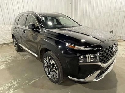 Used 2023 Hyundai Santa Fe Calligraphy