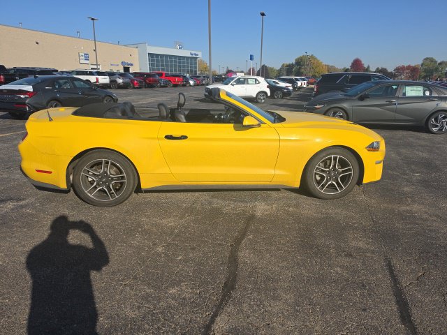 Used 2018 Ford Mustang Premium w/ Equipment Group 201A RWD image 8