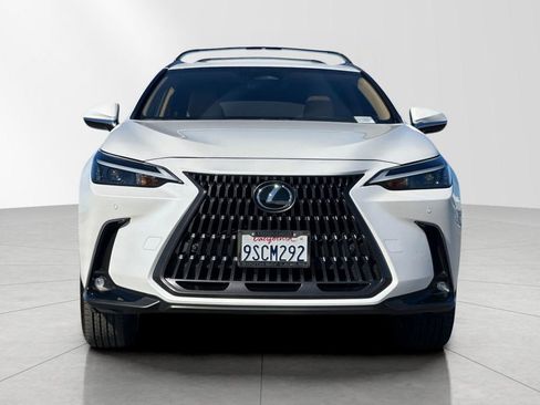 Certified 2025 Lexus NX 250 250 Premium image 9