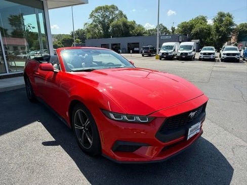 Used 2024 Ford Mustang Premium image 24