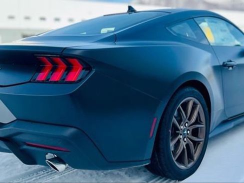 New 2026 Ford Mustang EcoBoost image 8