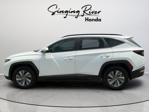 Used 2022 Hyundai Tucson Blue AWD/4WD image 4