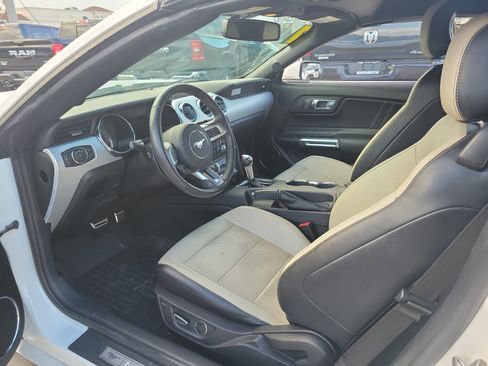 Used 2017 Ford Mustang Premium w/ Equipment Group 201A image 19