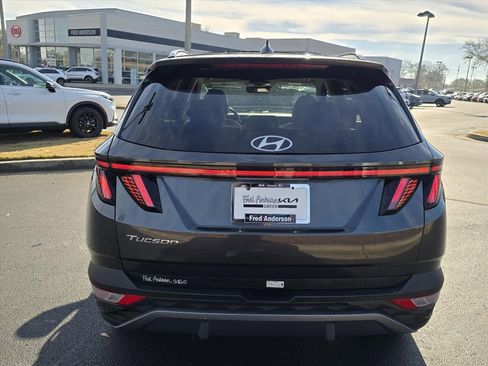 Used 2024 Hyundai Tucson Limited image 4