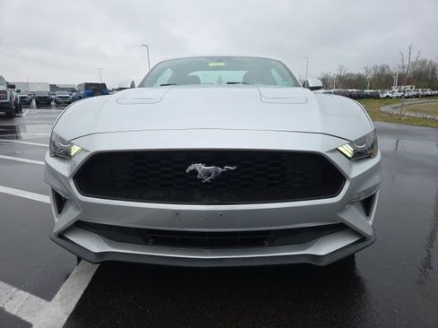 Used 2019 Ford Mustang Coupe image 3