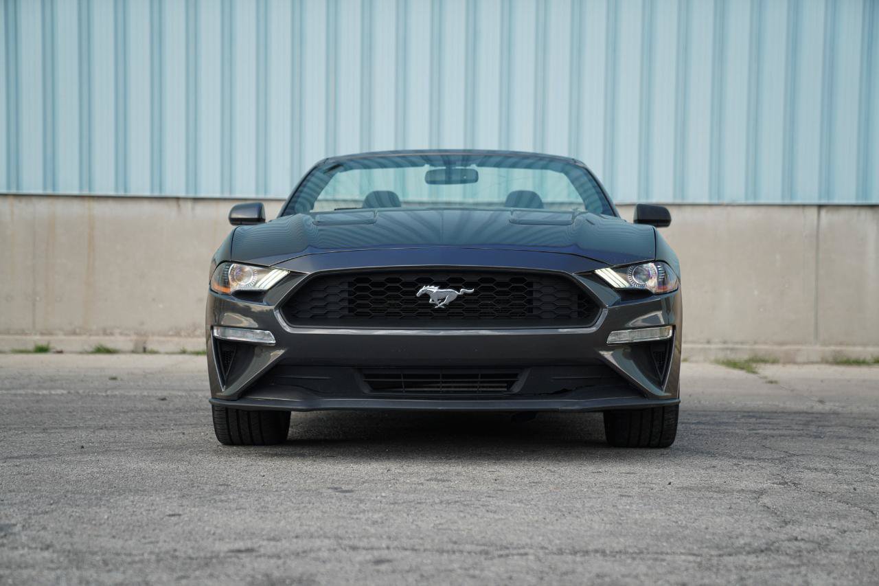 Used 2018 Ford Mustang Convertible w/ Ecoboost Performance Package RWD image 4