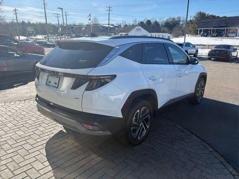 Used 2025 Hyundai Tucson Limited AWD/4WD image 14