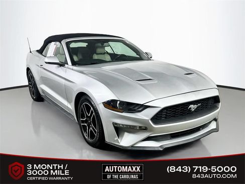 Used 2019 Ford Mustang Premium RWD image 1