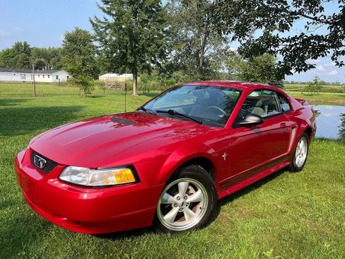 Used 2000 Ford Mustang Coupe RWD image 1