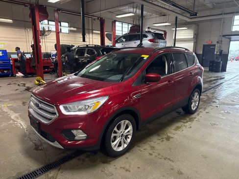 Used 2019 Ford Escape SEL FWD image 1