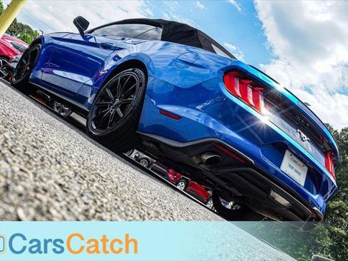 Used 2019 Ford Mustang Premium w/ Equipment Group 201A RWD image 5
