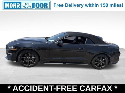 Used 2019 Ford Mustang GT Premium w/ Equipment Group 401A RWD image 2