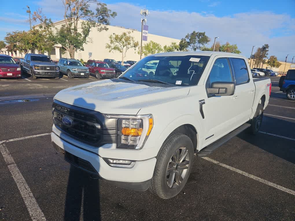 Used 2023 Ford F150 XLT w/ Equipment Group 302A High AWD/4WD image 1
