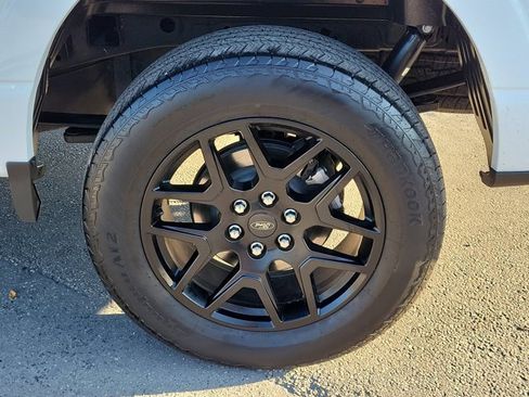 Used 2024 Ford F150 STX w/ STX Black Appearance Package image 6