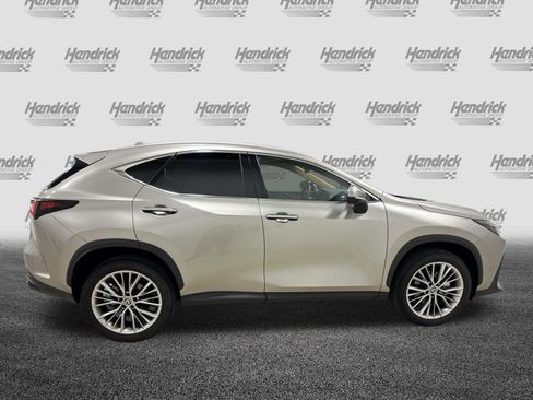 Used 2025 Lexus NX 350 AWD w/ Cold Area Package image 11