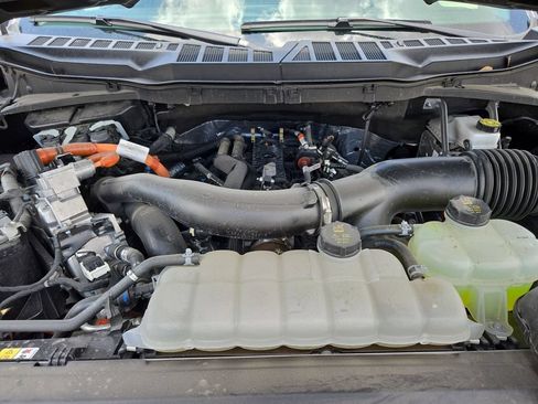 Used 2025 Ford F150 XLT w/ Equipment Group 301A Standard AWD/4WD image 34
