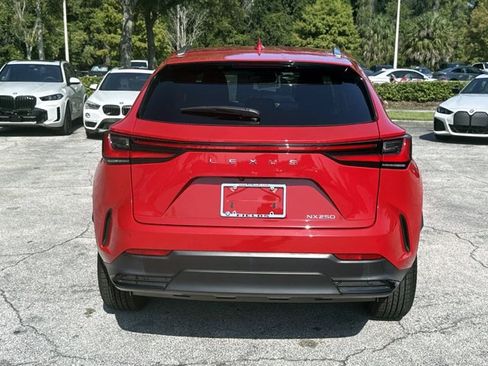 Used 2024 Lexus NX 250 FWD image 4