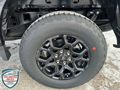 New 2025 Ford F150 XLT w/ Equipment Group 302A MID image 13