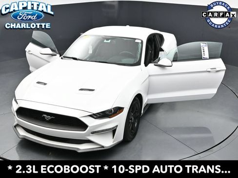 Used 2019 Ford Mustang Coupe RWD image 34