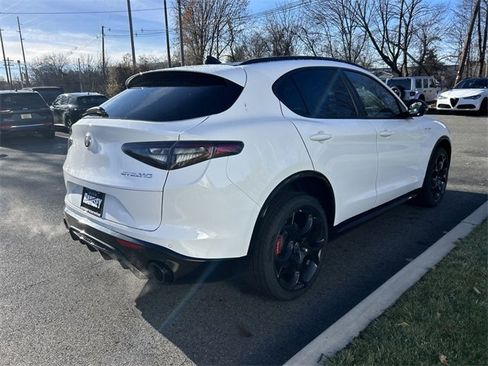 New 2025 Alfa Romeo Stelvio Sprint w/ Veloce Package image 8