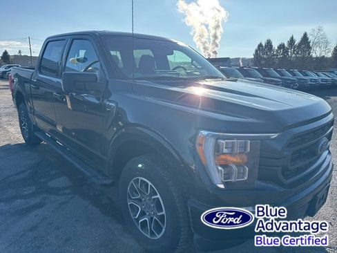 Used 2022 Ford F150 XLT w/ Equipment Group 302A High image 4