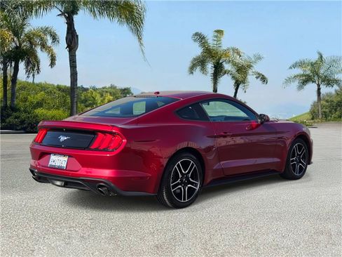 Used 2019 Ford Mustang Coupe w/ Equipment Group 101A image 4