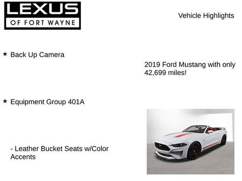 Used 2019 Ford Mustang GT Premium w/ Equipment Group 401A RWD image 7
