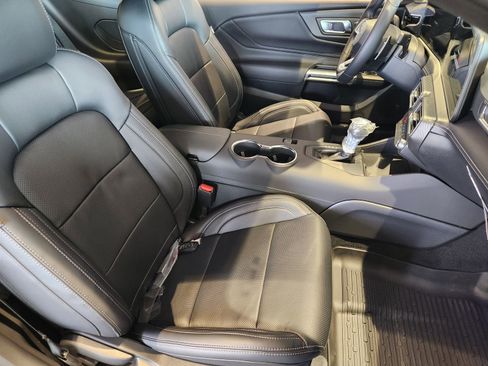 New 2025 Ford Mustang GT Premium w/ Mustang Nite Pony Package image 11