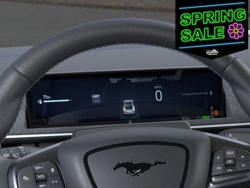 New 2025 Ford Mustang Mach-E GT w/ Interior Protection Package image 13