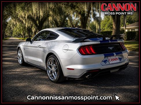 Used 2019 Ford Mustang Premium w/ Equipment Group 201A RWD image 4