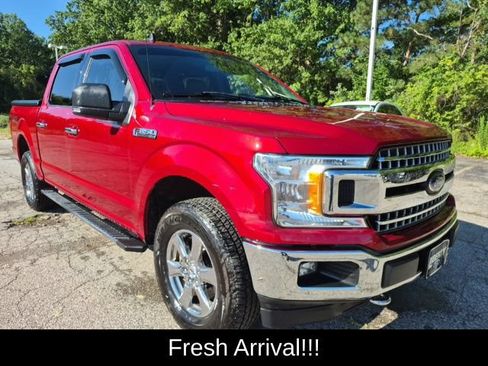 Used 2019 Ford F150 XLT w/ Equipment Group 302A Luxury AWD/4WD image 4