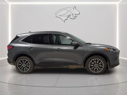 Used 2022 Ford Escape SEL image 6