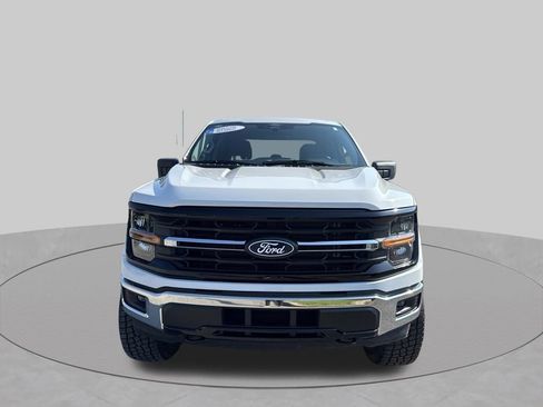 Used 2025 Ford F150 XLT w/ Equipment Group 301A Standard AWD/4WD image 3