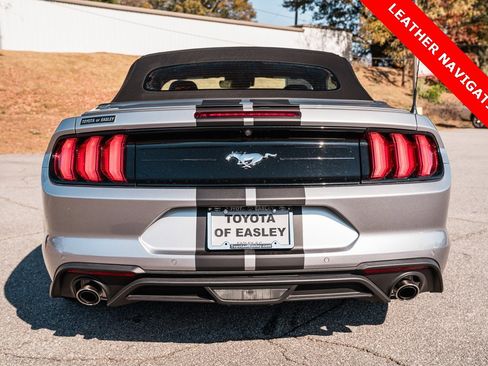 Used 2023 Ford Mustang Premium w/ Equipment Group 201A image 7
