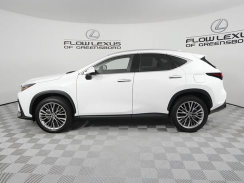 New 2026 Lexus NX 350 AWD w/ Cold Area Package image 4