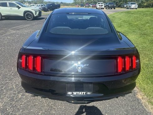 Used 2017 Ford Mustang Coupe image 5