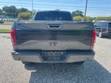 Used 2016 Ford F150 Platinum w/ Equipment Group 701A Luxury image 5