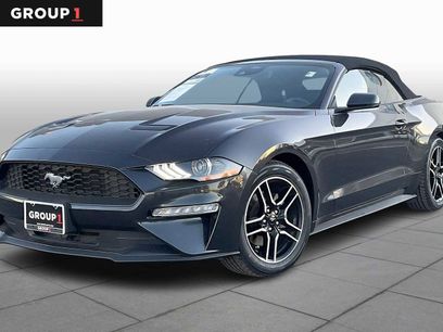 Used 2023 Ford Mustang Premium w/ Equipment Group 201A