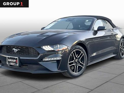 Used 2023 Ford Mustang Premium w/ Equipment Group 201A image 1