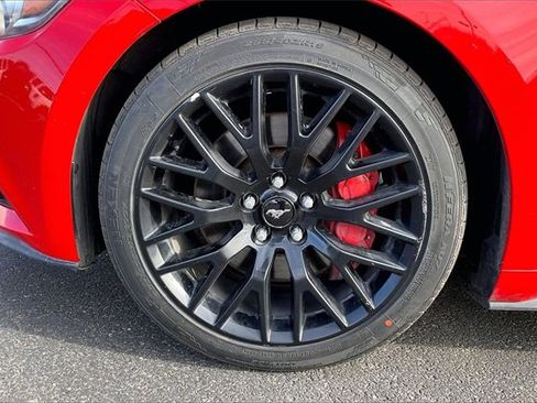 Used 2016 Ford Mustang GT Premium w/ Equipment Group 401A image 8