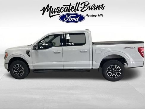 Used 2023 Ford F150 XLT w/ Equipment Group 302A High AWD/4WD image 4