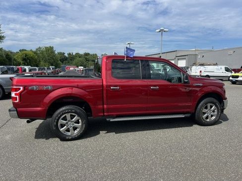 Used 2019 Ford F150 XLT w/ Equipment Group 302A Luxury AWD/4WD image 6