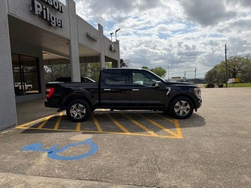Used 2023 Ford F150 Platinum RWD image 2